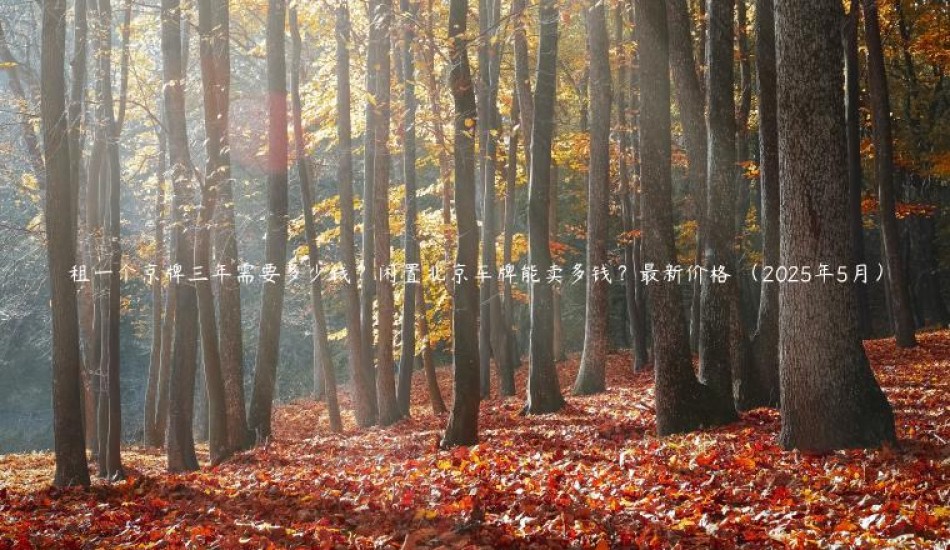 租一个京牌三年需要多少钱？闲置北京车牌能卖多钱？最新价格 （2025年5月）