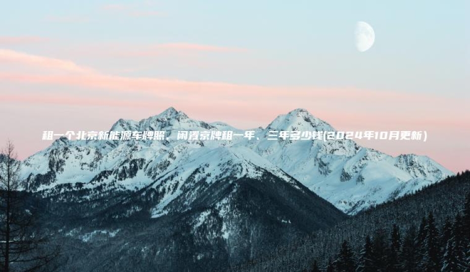 租一个北京新能源车牌照闲置京牌租一年三年多少钱2024年10月更新