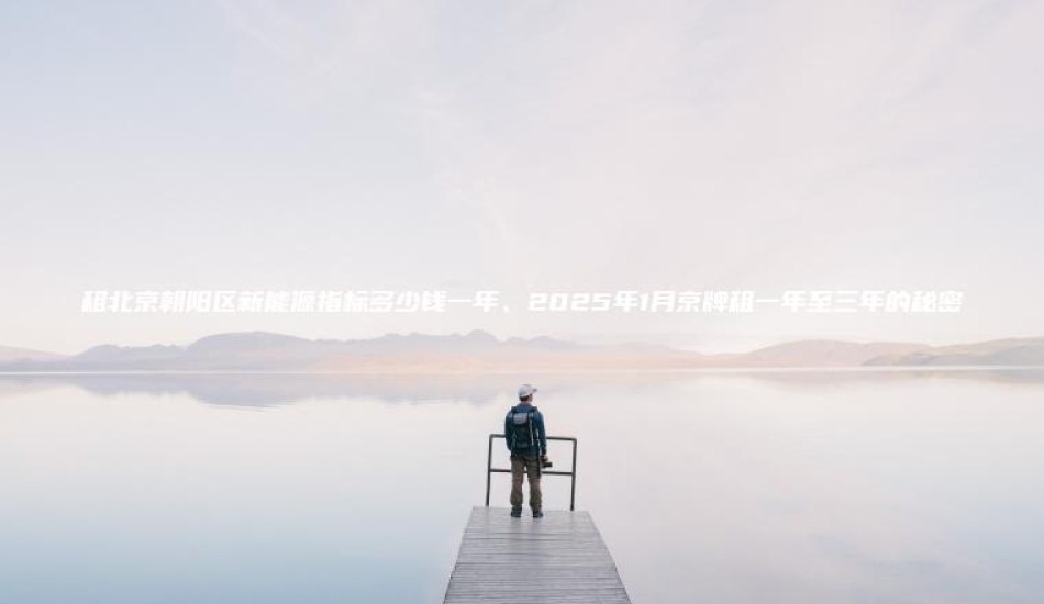 租北京朝阳区新能源指 口袋车务 租北京朝阳区新能源指标多少钱一年2025年1月京牌租一年至三年的秘密