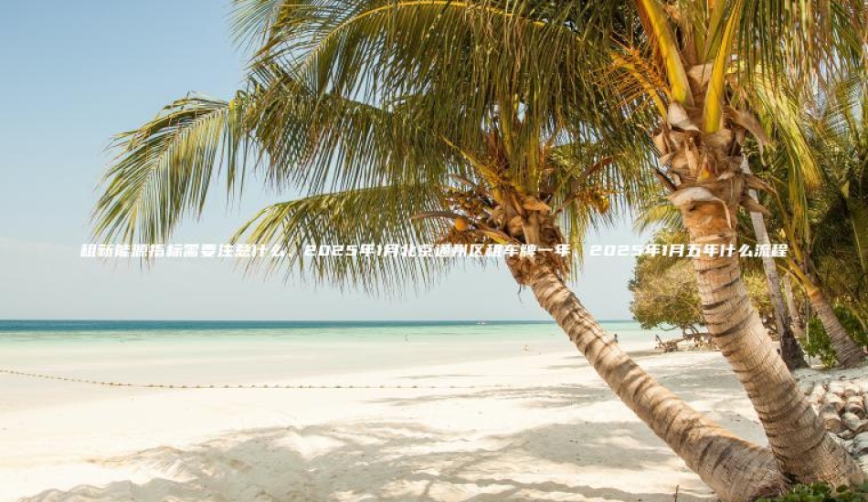 租新能源指标需要注意什么、2025年1月北京通州区租车牌一年、2025年1月五年什么流程