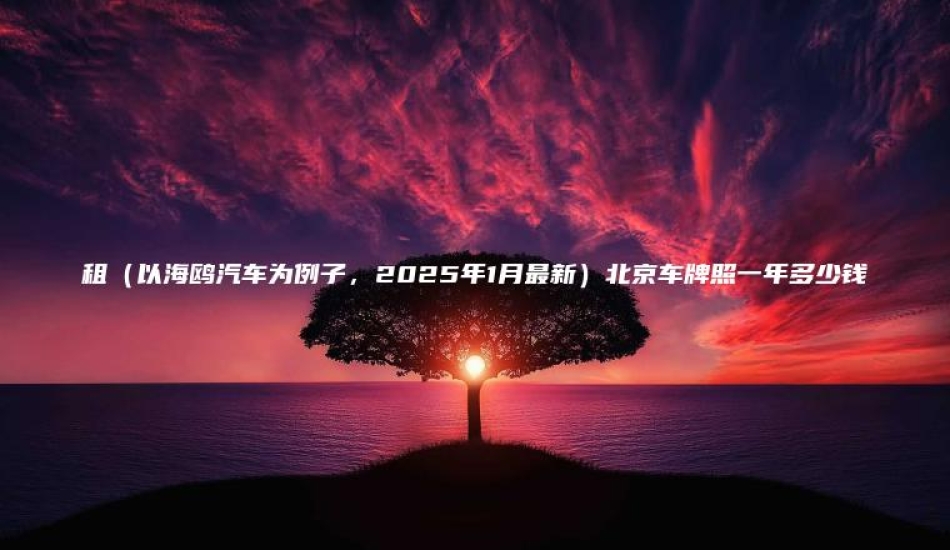租（以海鸥汽车为例子，2025年1月最新）北京车牌照一年多少钱
