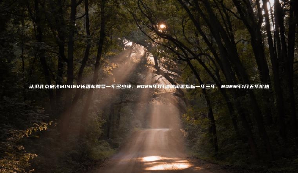 认识北京宏光MINI 口袋车务 认识北京宏光MINIEV长租车牌号一年多少钱2025年1月油牌闲置指标一年三年2025年1月五年价格