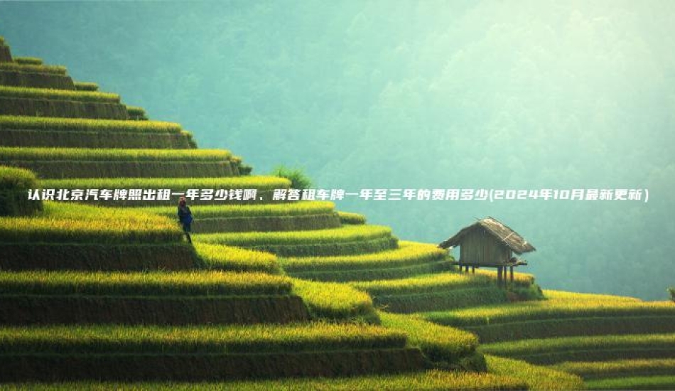 认识北京汽车牌照出租一年多少钱啊解答租车牌一年至三年的费用多少2024年10月最新更新