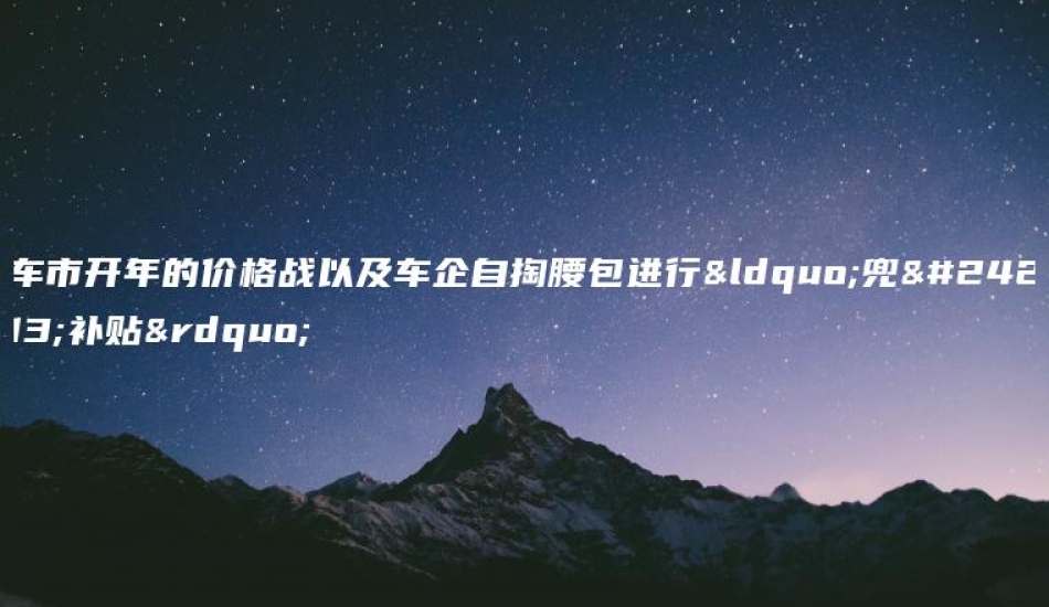 车市开年的价格战以及 口袋车务 车市开年的价格战以及车企自掏腰包进行兜底补贴