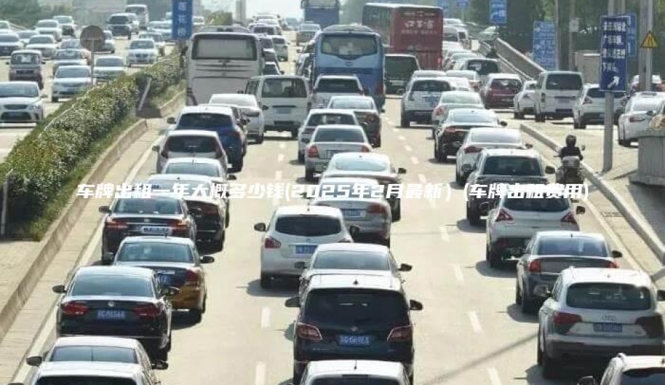 车牌出租一年大概多少钱(2025年2月最新）(车牌出租费用)