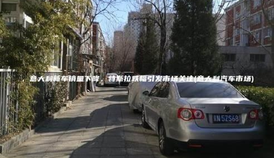 ，意大利新车销量下降，特斯拉跌幅引发市场关注(意大利汽车市场)